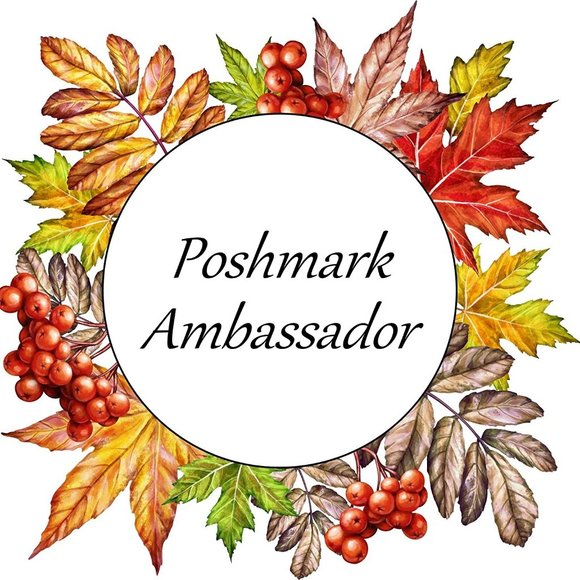 POSHMARK AMBASSADOR II -- OVER 25 YEARS ONLINE SALES EXPERIENCE - Picture 4 of 6